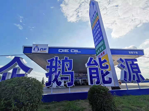 蘑菇视频下载APP免费